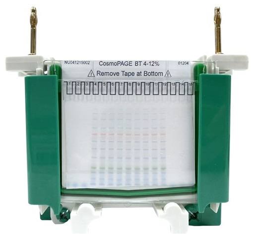 Compatible with Bio-Rad Mini-PROTEAN